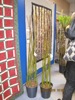 gal/Quiltefestival i Middelfart 2010/Udstilling/thumbnails/_thb_QF 10-2 - Lis 166.JPG